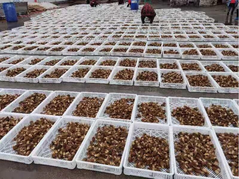 &#31859;&#20848;&#32593;&#39029;&#29256;&#45;&#31859;&#20848;&#40;&#20013;&#22269;&#41;