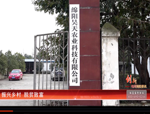 &#31859;&#20848;&#32593;&#39029;&#29256;&#45;&#31859;&#20848;&#40;&#20013;&#22269;&#41;