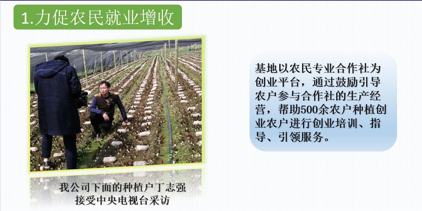 &#31859;&#20848;&#32593;&#39029;&#29256;&#45;&#31859;&#20848;&#40;&#20013;&#22269;&#41;