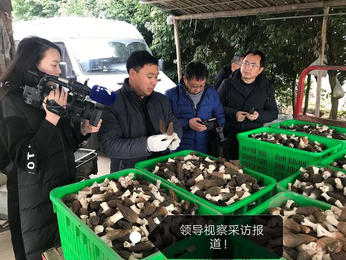 &#31859;&#20848;&#32593;&#39029;&#29256;&#45;&#31859;&#20848;&#40;&#20013;&#22269;&#41;