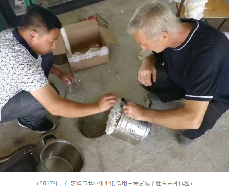&#31859;&#20848;&#32593;&#39029;&#29256;&#45;&#31859;&#20848;&#40;&#20013;&#22269;&#41;