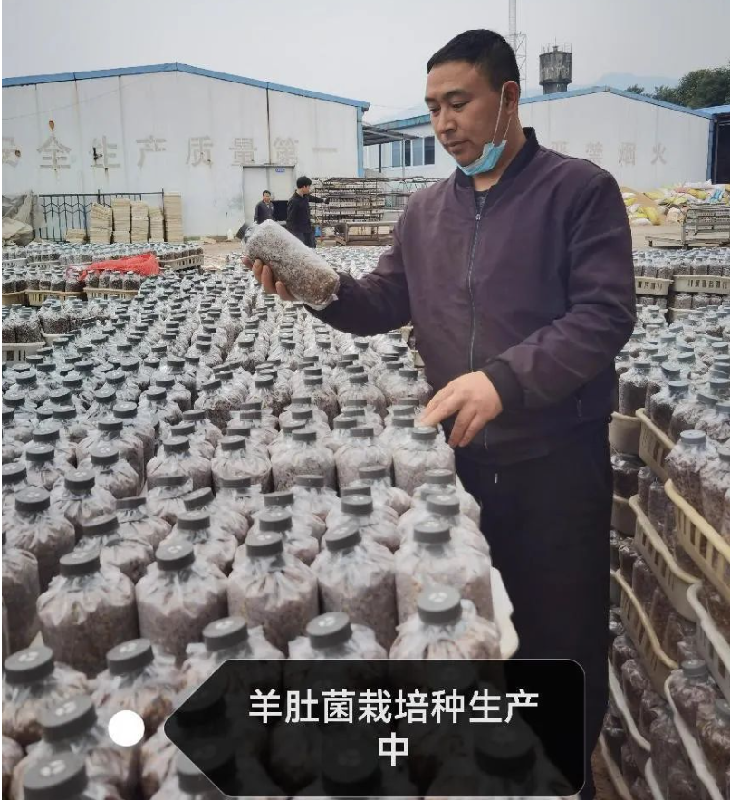 &#31859;&#20848;&#32593;&#39029;&#29256;&#45;&#31859;&#20848;&#40;&#20013;&#22269;&#41;